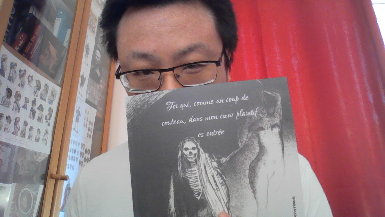 Toi qui, comme un coup de couteau, dans mon coeur plaintif est entrée – Image 5